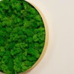 Round Framed Moss Wall Decor (only the Large) - Image 6