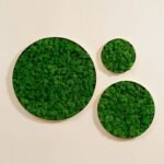 Round Framed Moss Wall Decor (only the Large) - Image 5