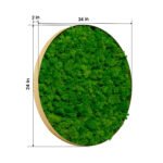 Round Framed Moss Wall Decor (only the Large) - Image 3