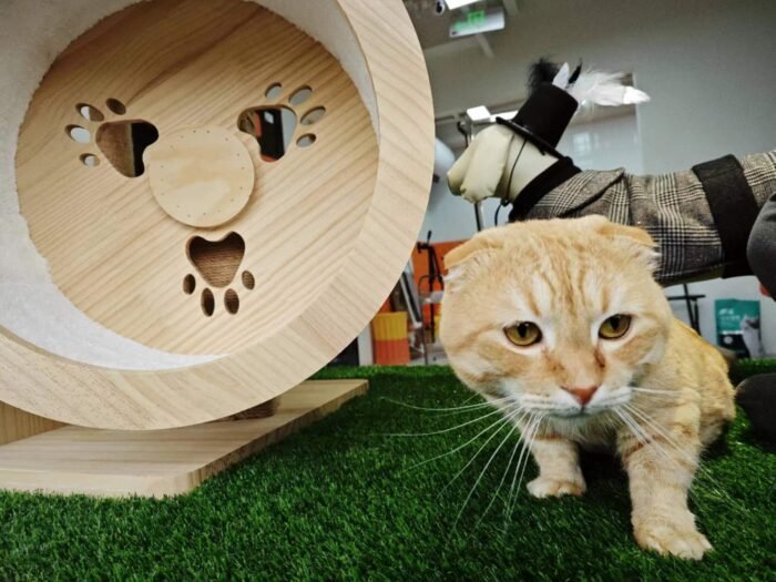 4FTX6FT Outdoor Artificial Grass Runway Blanket Roll 1.38 "Pile Height - Image 11