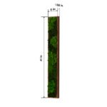 Rectangular Mixed Moss Wall Art, (only the Medium) - Image 5