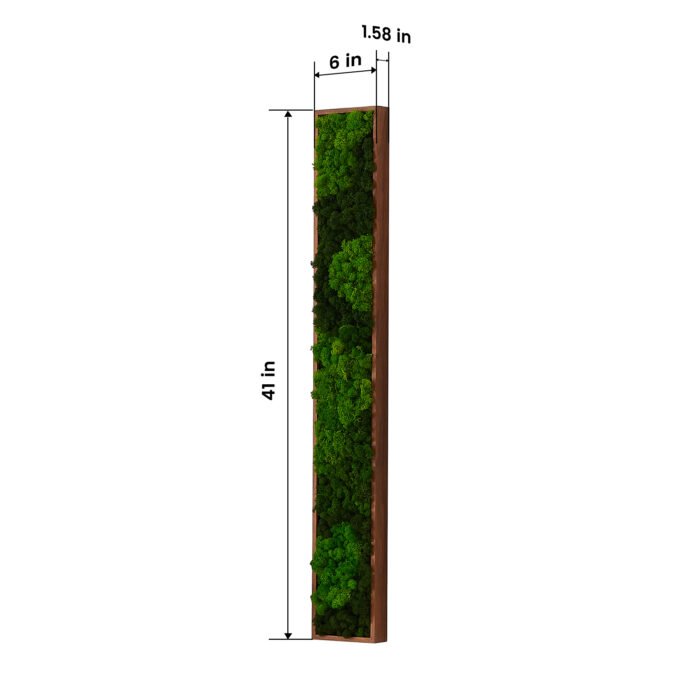 Rectangular Mixed Moss Wall Art, (only the Medium) - Image 5