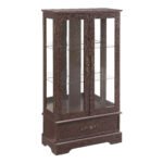 Glass Curio Cabinet with adjustable glass frame - Image 14