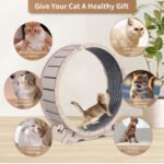Cat Exercise  Wooden ColorWheel with Carpeted Runway  (41") - Image 6