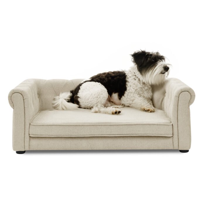 Elegant Rectangle  Comfortable Pet Bed for Medium and Large Dogs - Image 4