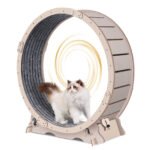 Cat Exercise  Wooden ColorWheel with Carpeted Runway  (41") - Image 10