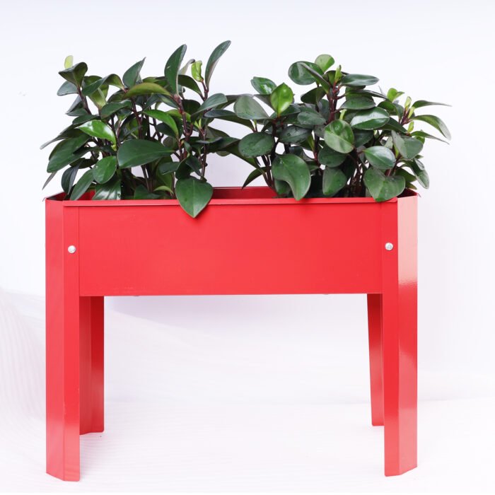Flowerpot metal box suitable for backyard and terrace - Image 8