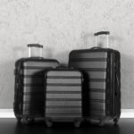 3 Piece Luggage Set Hardside Spinner Suitcase with TSA (20/24/28) Black