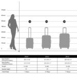 3 Piece Luggage Set Hardside Spinner Suitcase with TSA (20/24/28) Black - Image 2